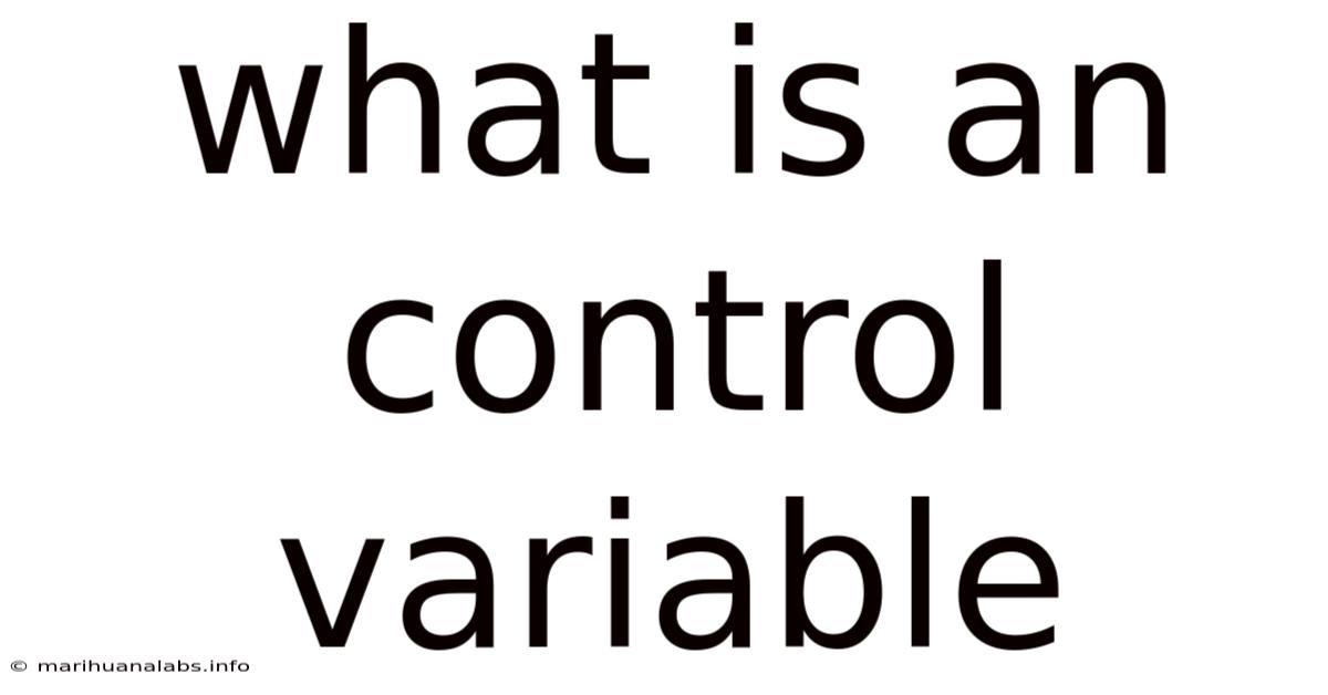 What Is An Control Variable