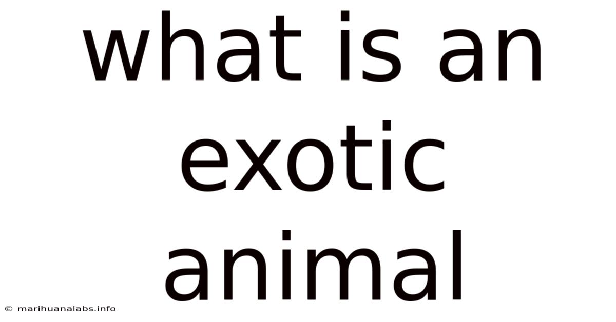 What Is An Exotic Animal