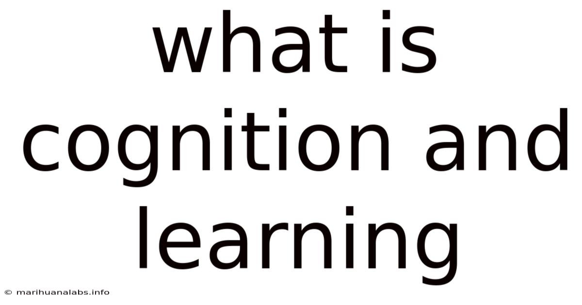 What Is Cognition And Learning