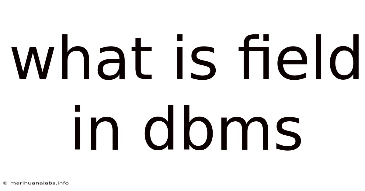 What Is Field In Dbms