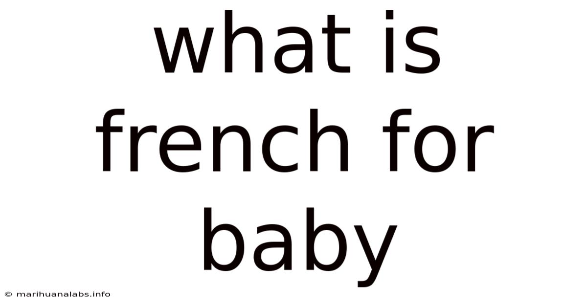 What Is French For Baby