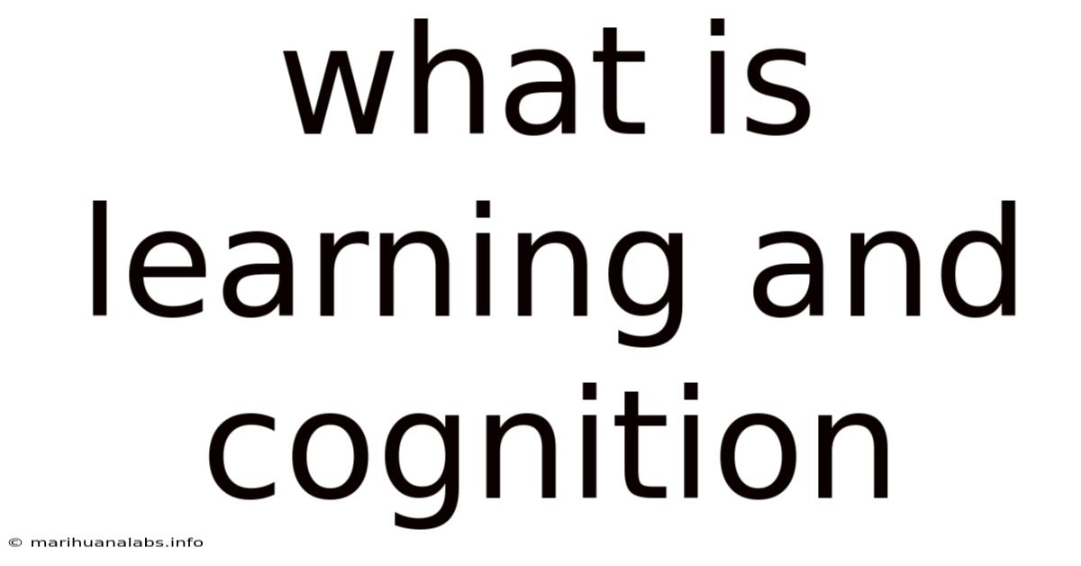 What Is Learning And Cognition