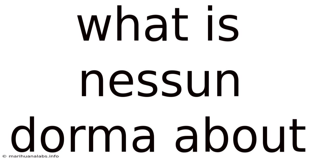 What Is Nessun Dorma About