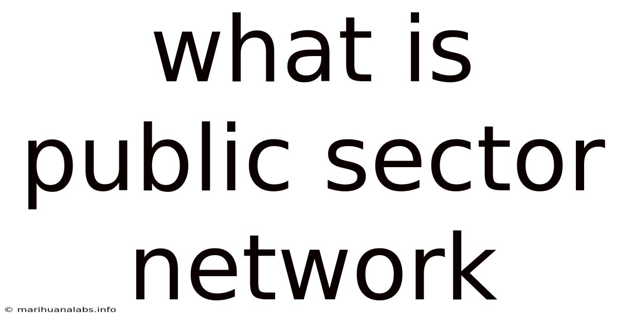 What Is Public Sector Network