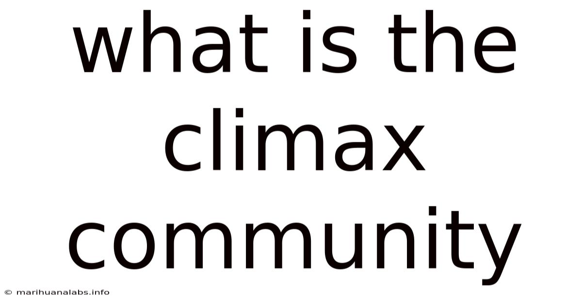 What Is The Climax Community