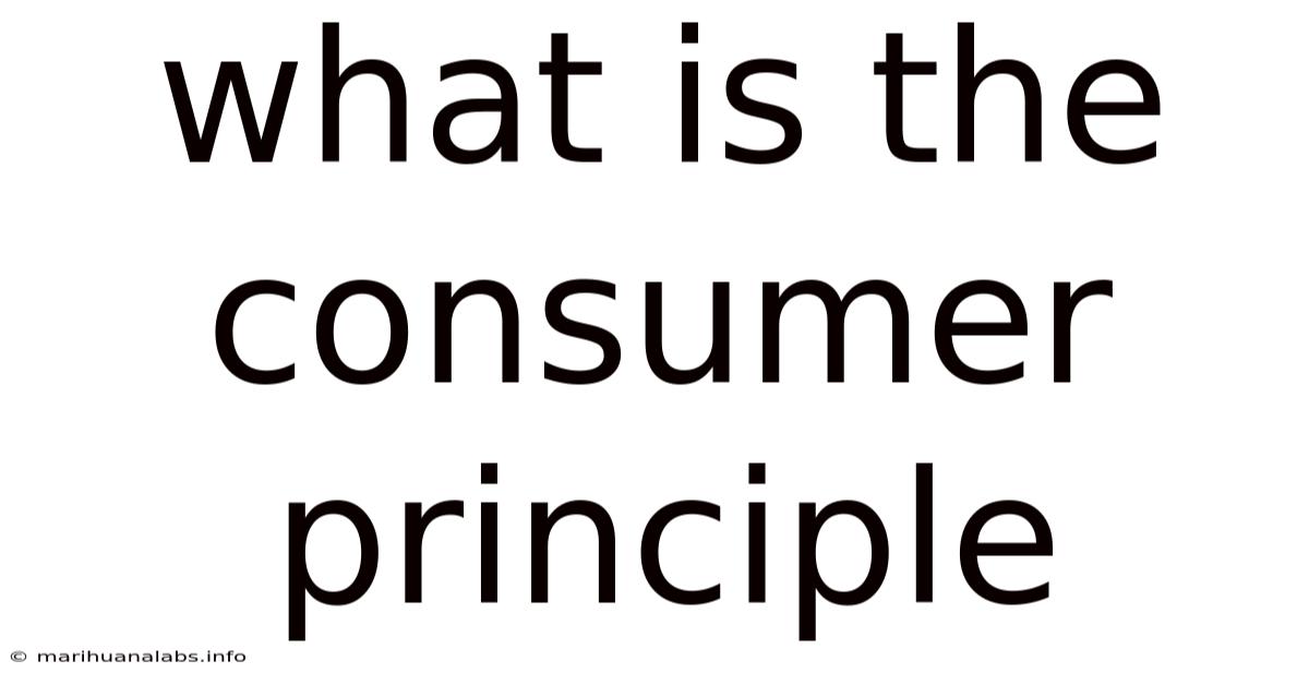What Is The Consumer Principle