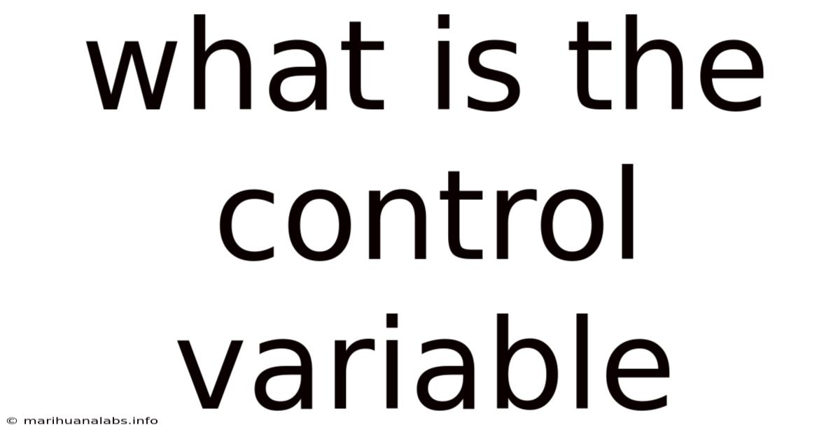 What Is The Control Variable