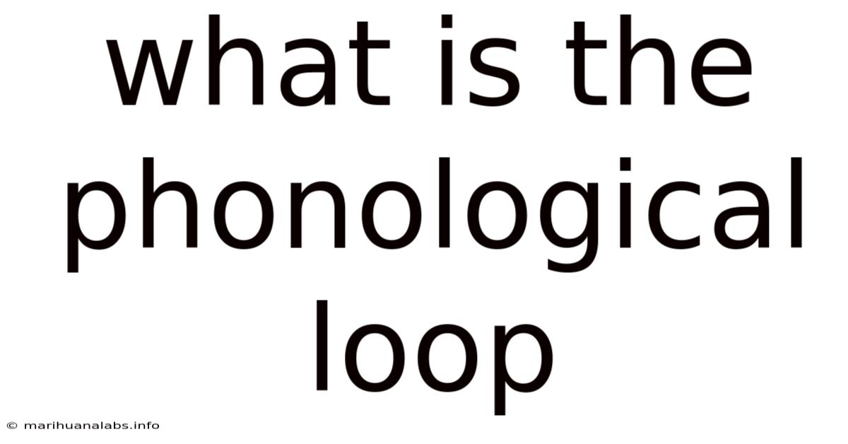What Is The Phonological Loop
