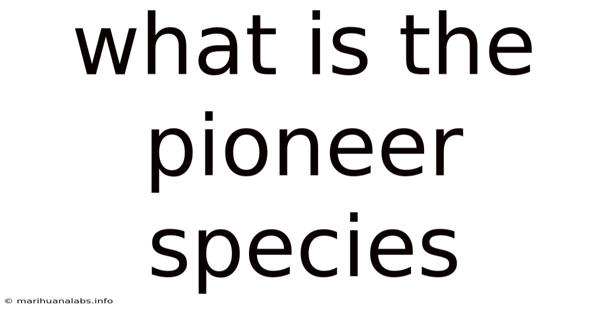 What Is The Pioneer Species