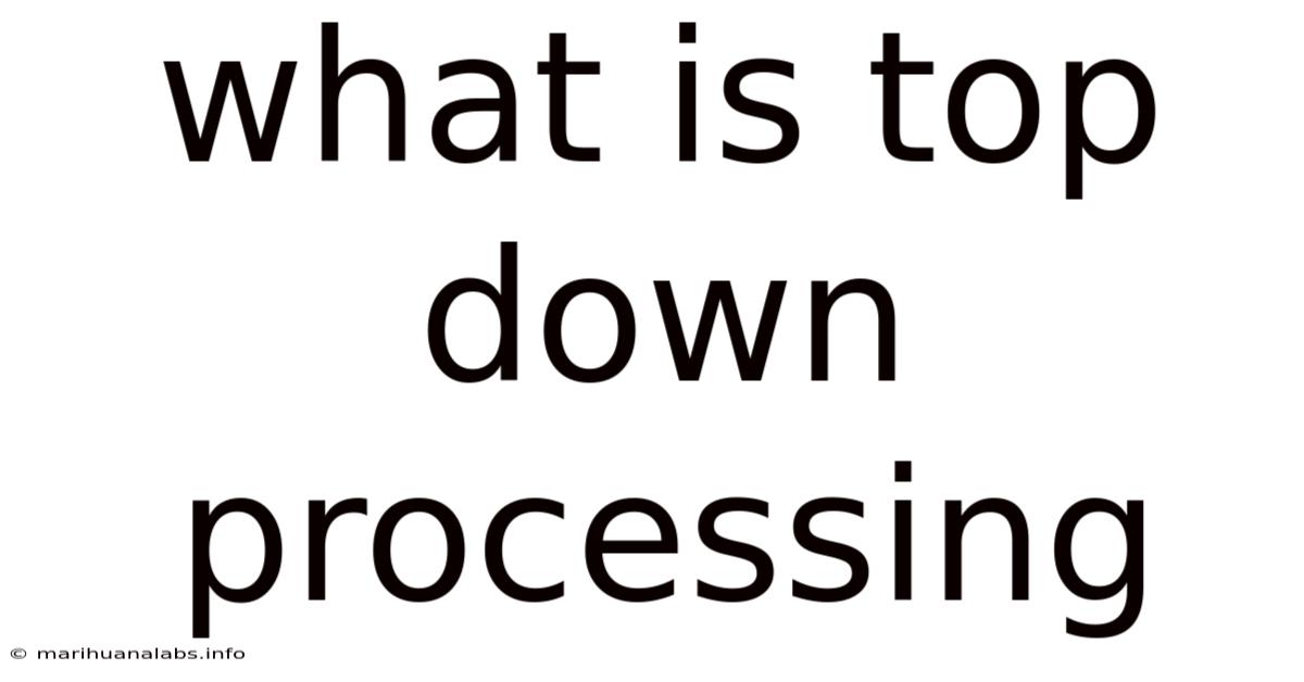 What Is Top Down Processing