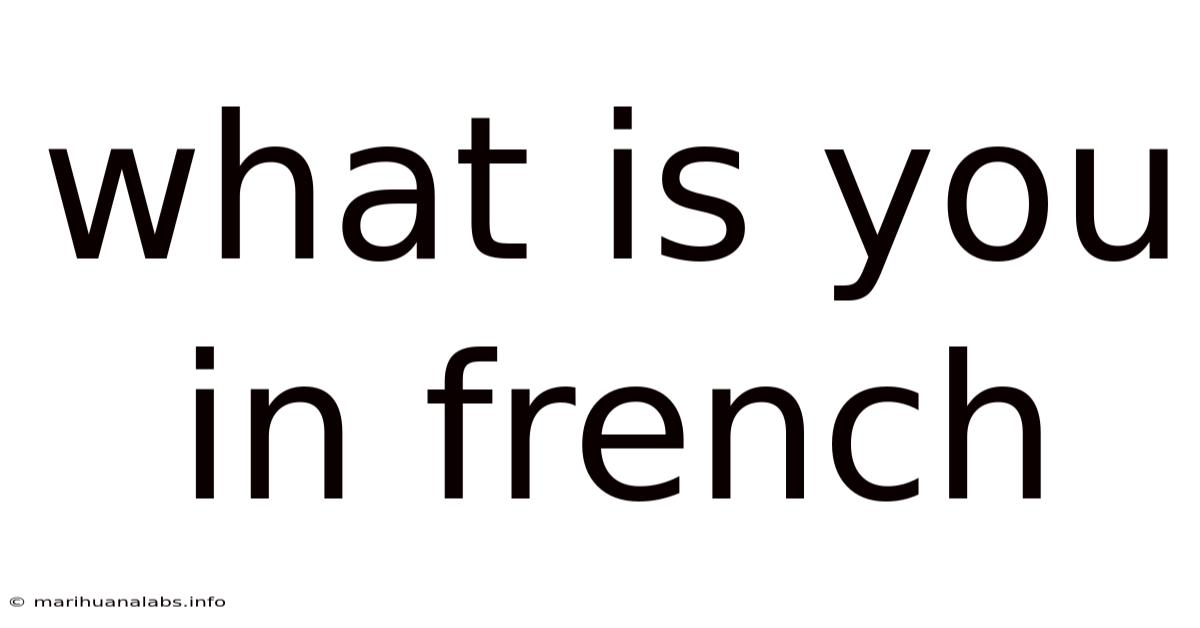 What Is You In French