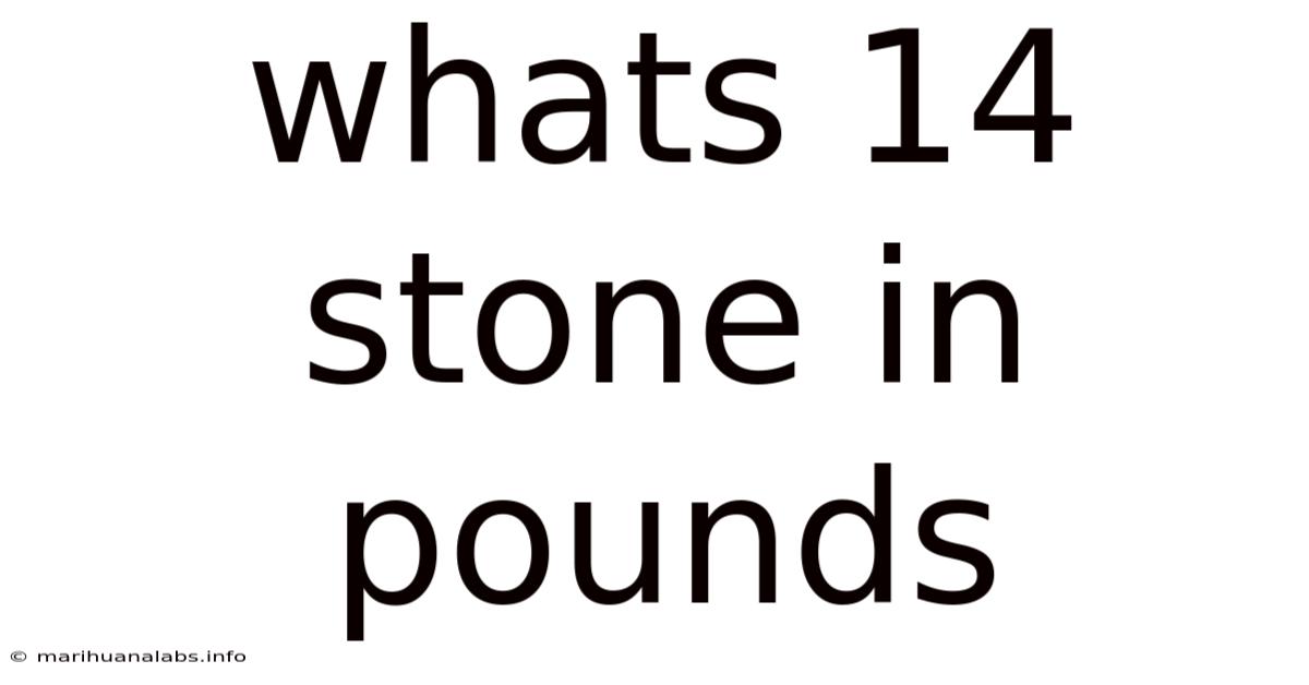 Whats 14 Stone In Pounds