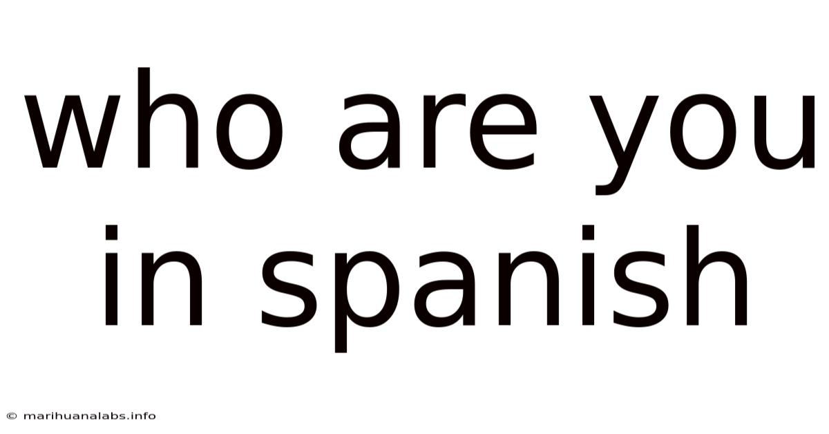 Who Are You In Spanish