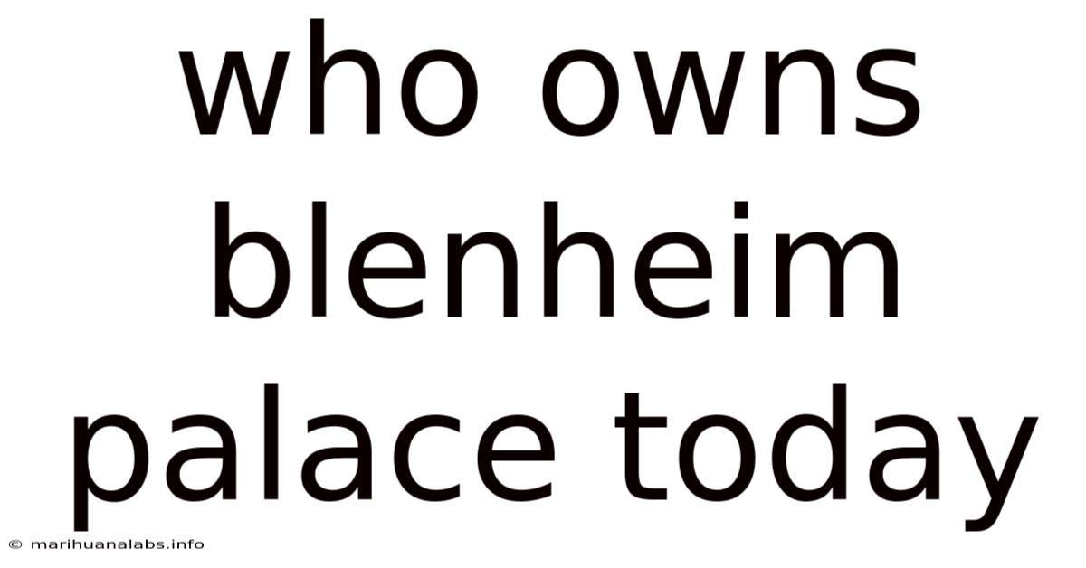 Who Owns Blenheim Palace Today