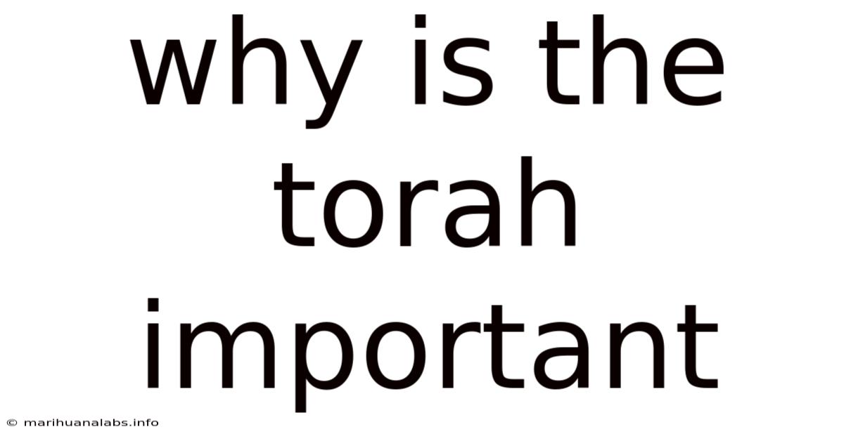 Why Is The Torah Important