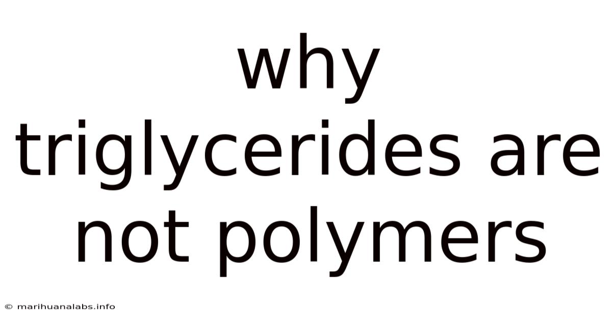 Why Triglycerides Are Not Polymers