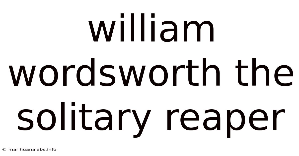 William Wordsworth The Solitary Reaper