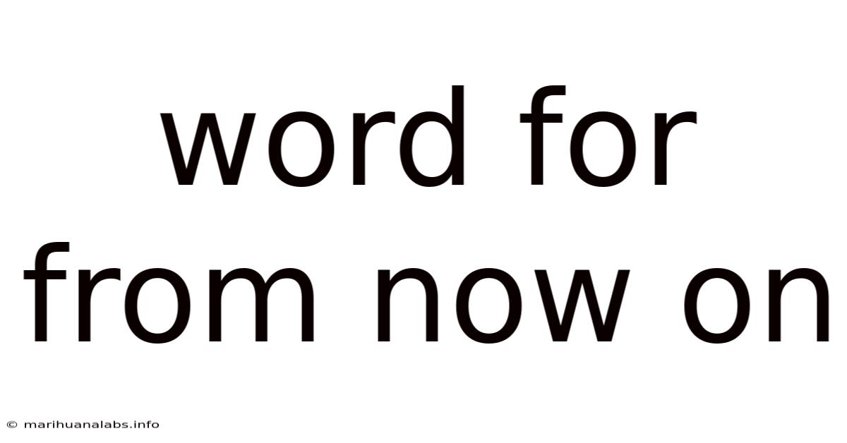 Word For From Now On