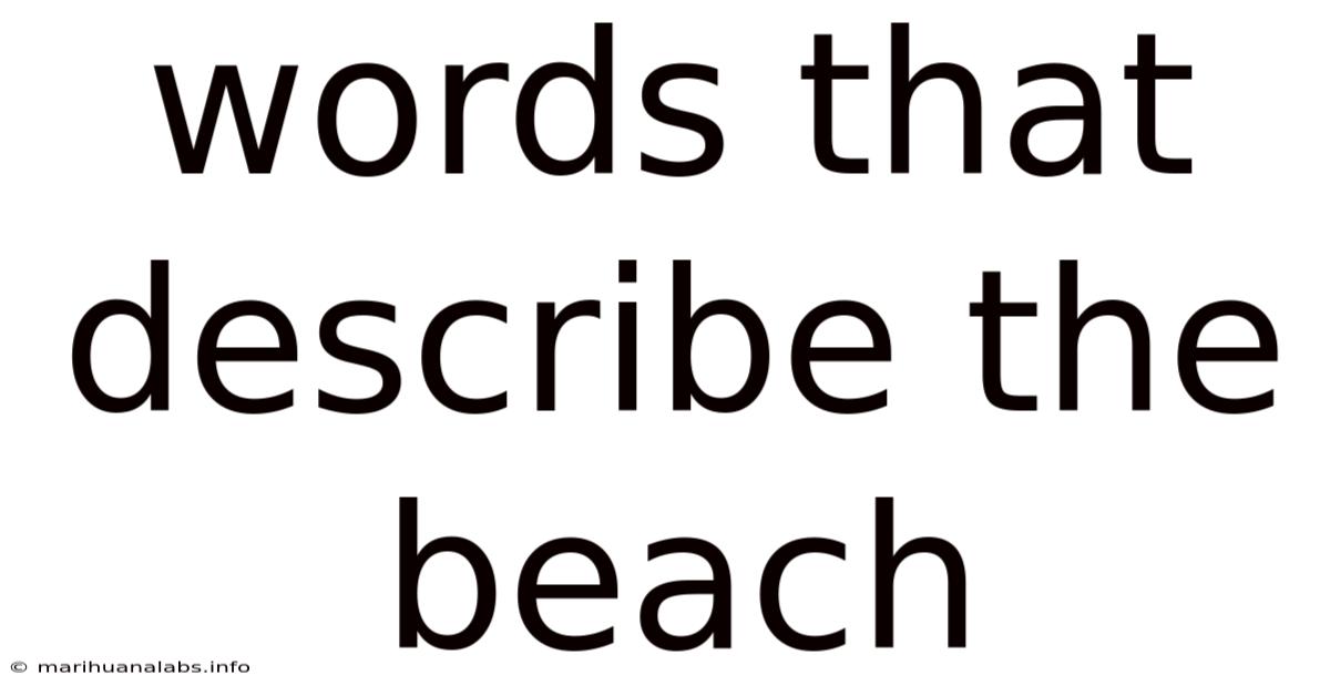 Words That Describe The Beach
