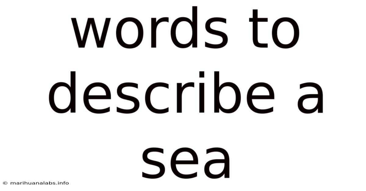 Words To Describe A Sea