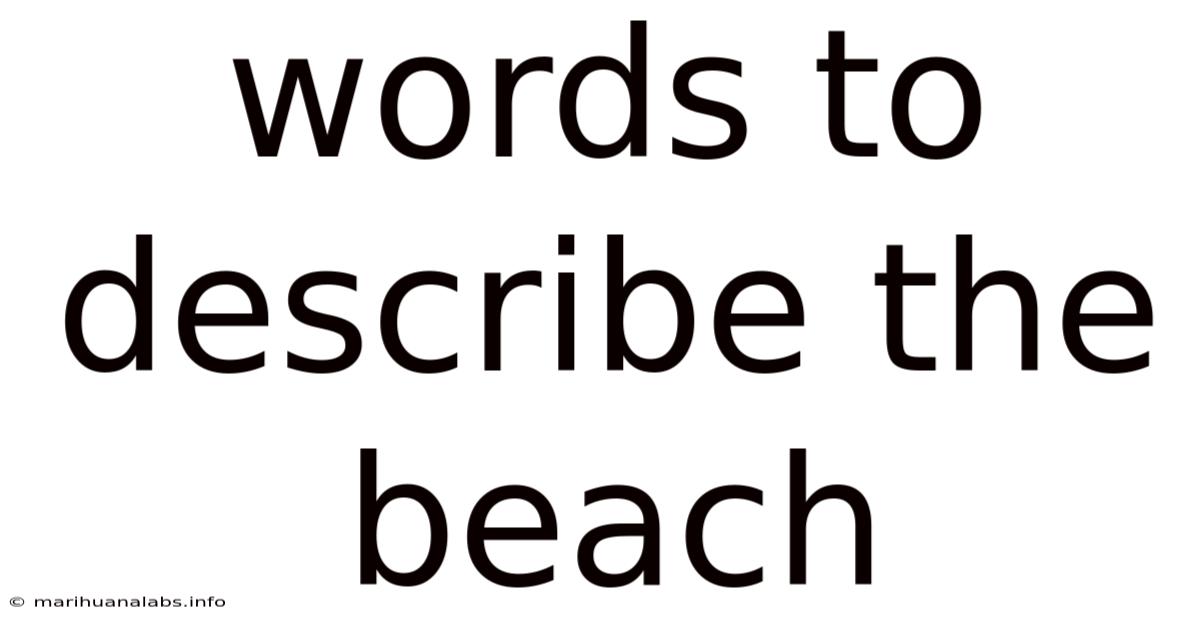 Words To Describe The Beach