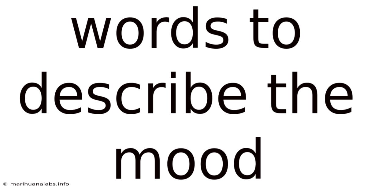 Words To Describe The Mood