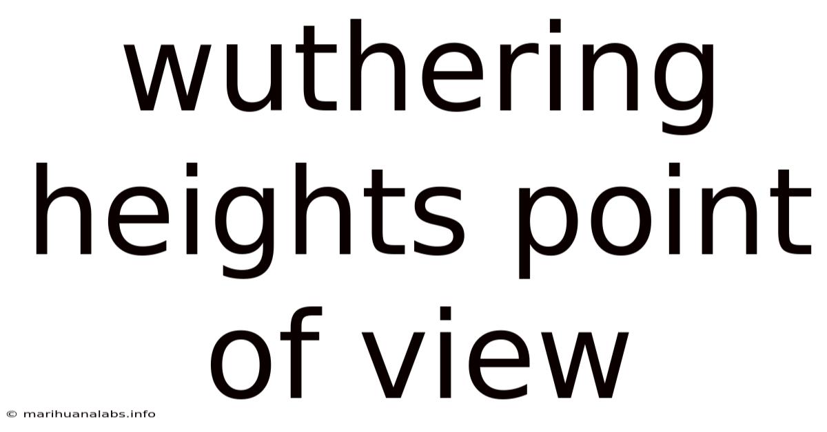 Wuthering Heights Point Of View