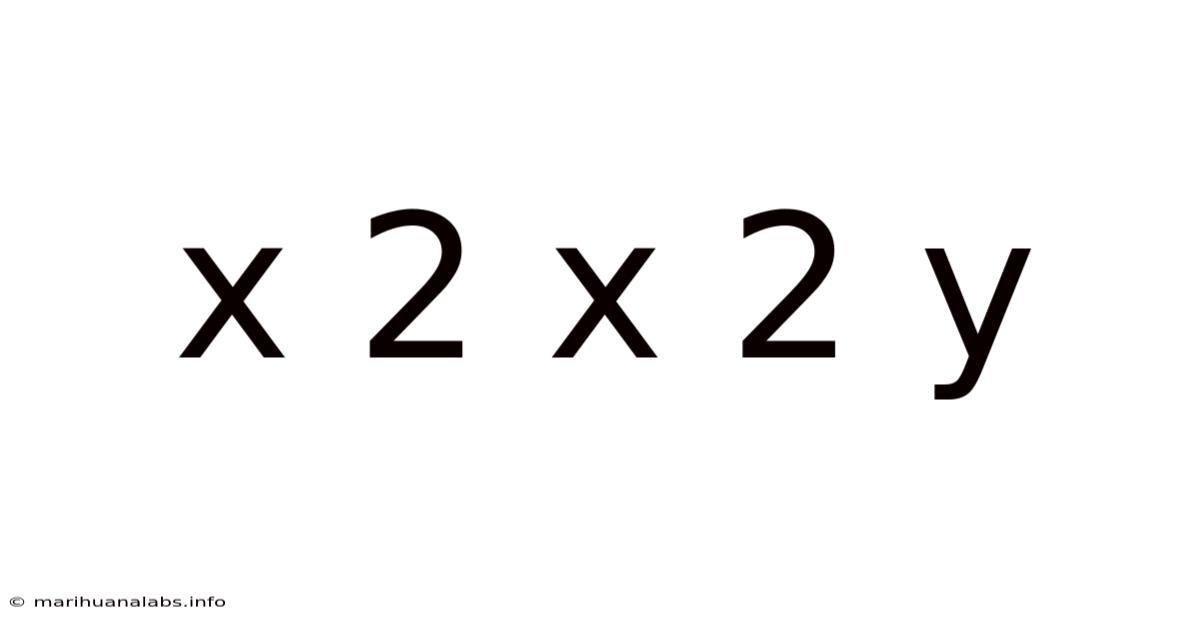 X 2 X 2 Y