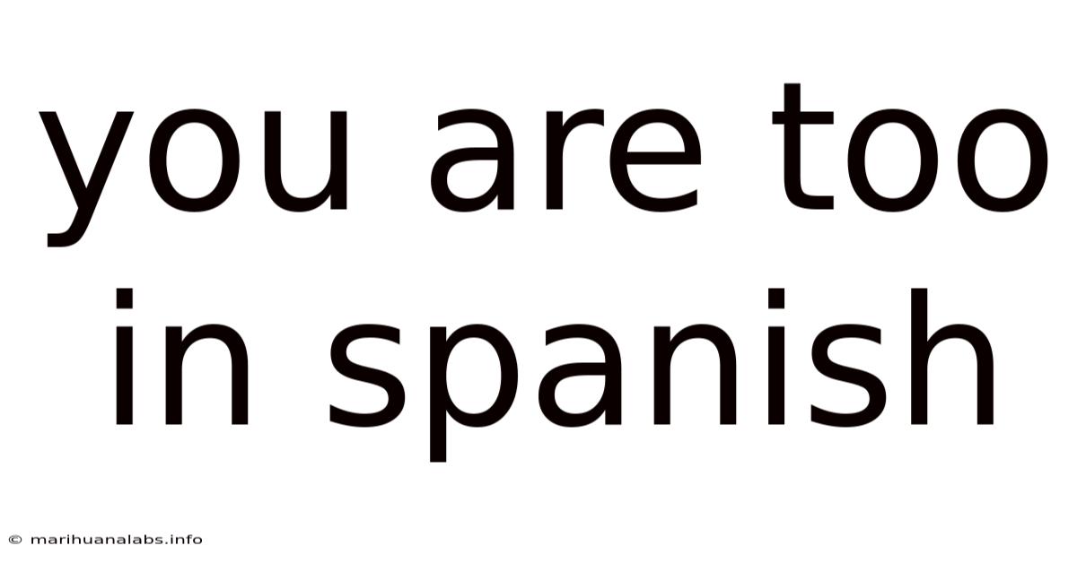 You Are Too In Spanish